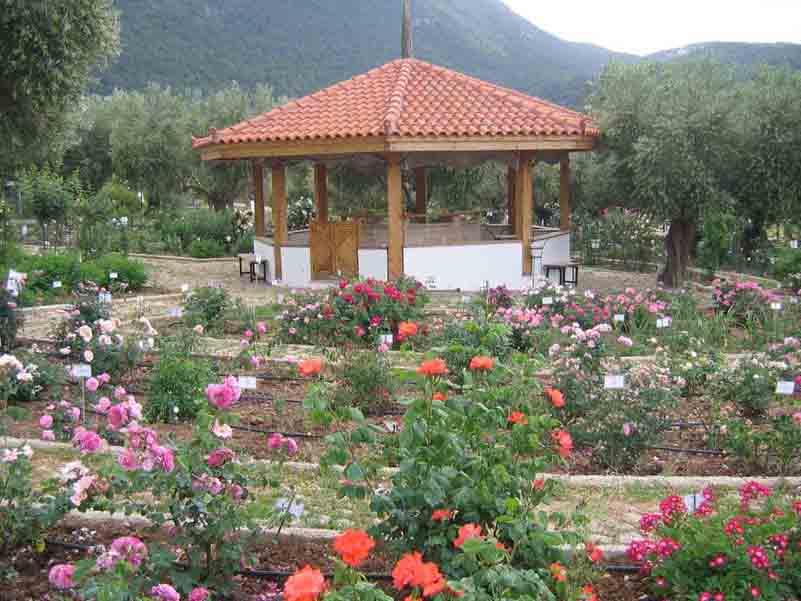 garden01