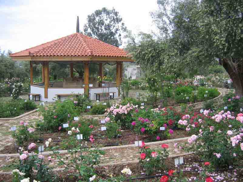 garden01